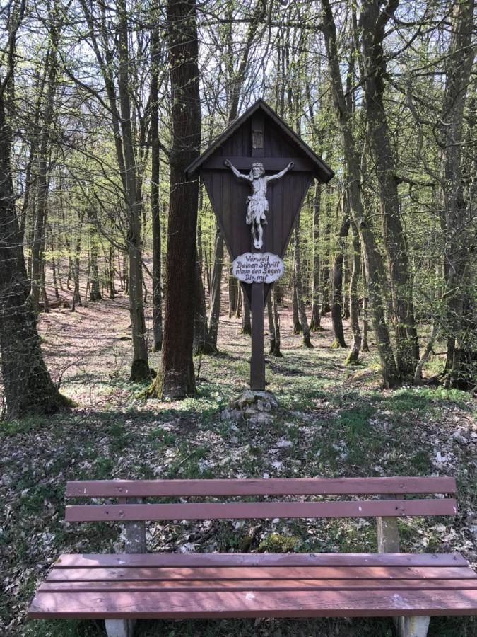 Pension-Ferienwohnung Liesbachtal Direkt Am Waldrand Bayerische Rhoen Schönau an der Brend Kültér fotó