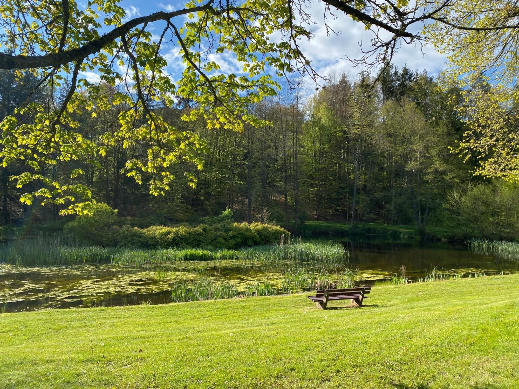 Pension-Ferienwohnung Liesbachtal Direkt Am Waldrand Bayerische Rhoen Schönau an der Brend Kültér fotó