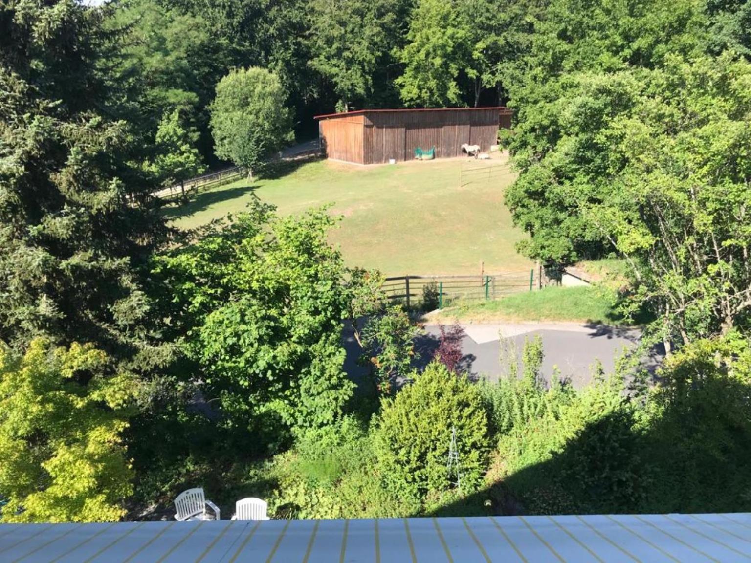 Pension-Ferienwohnung Liesbachtal Direkt Am Waldrand Bayerische Rhoen Schönau an der Brend Szoba fotó