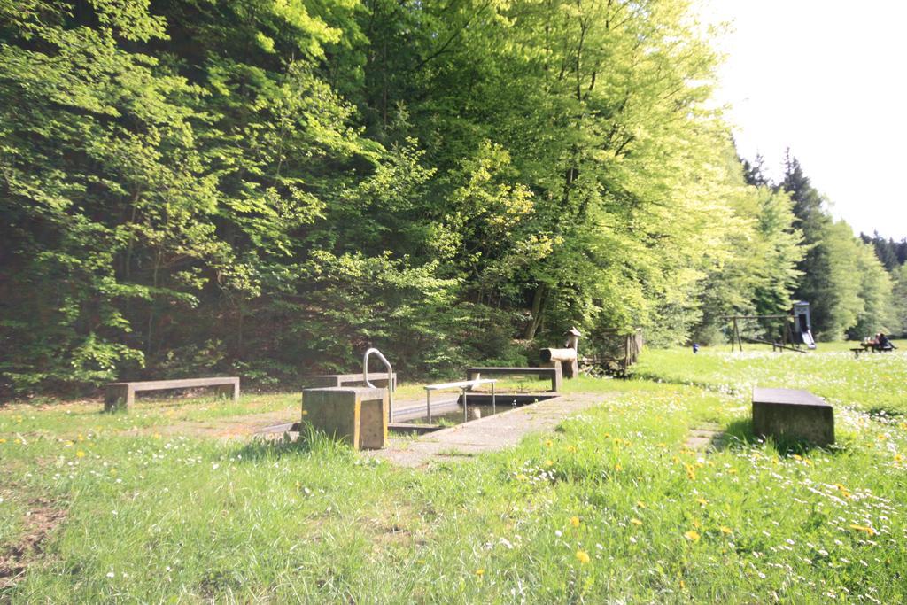 Pension-Ferienwohnung Liesbachtal Direkt Am Waldrand Bayerische Rhoen Schönau an der Brend Kültér fotó